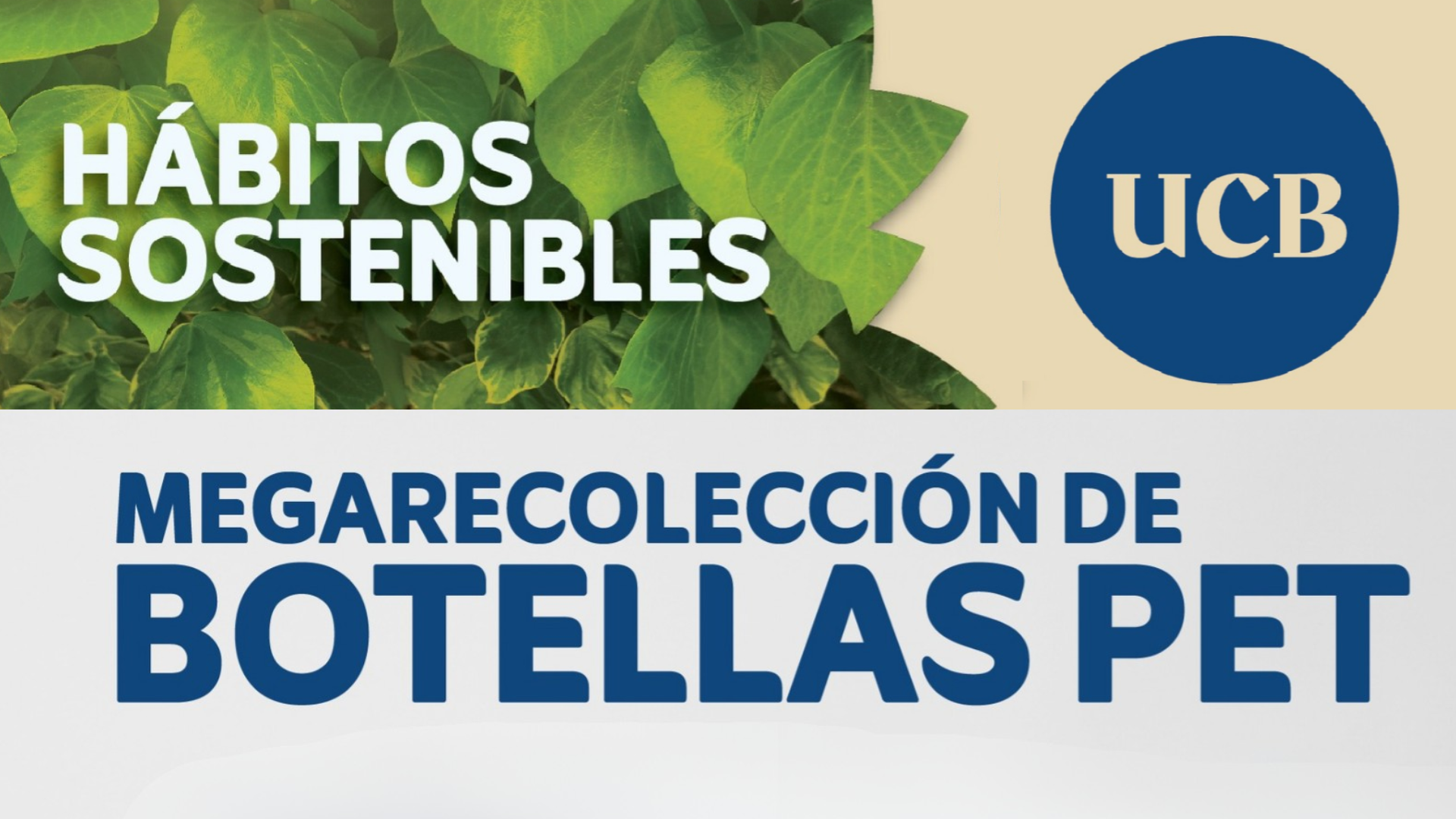 Megarocolección de botellas PET